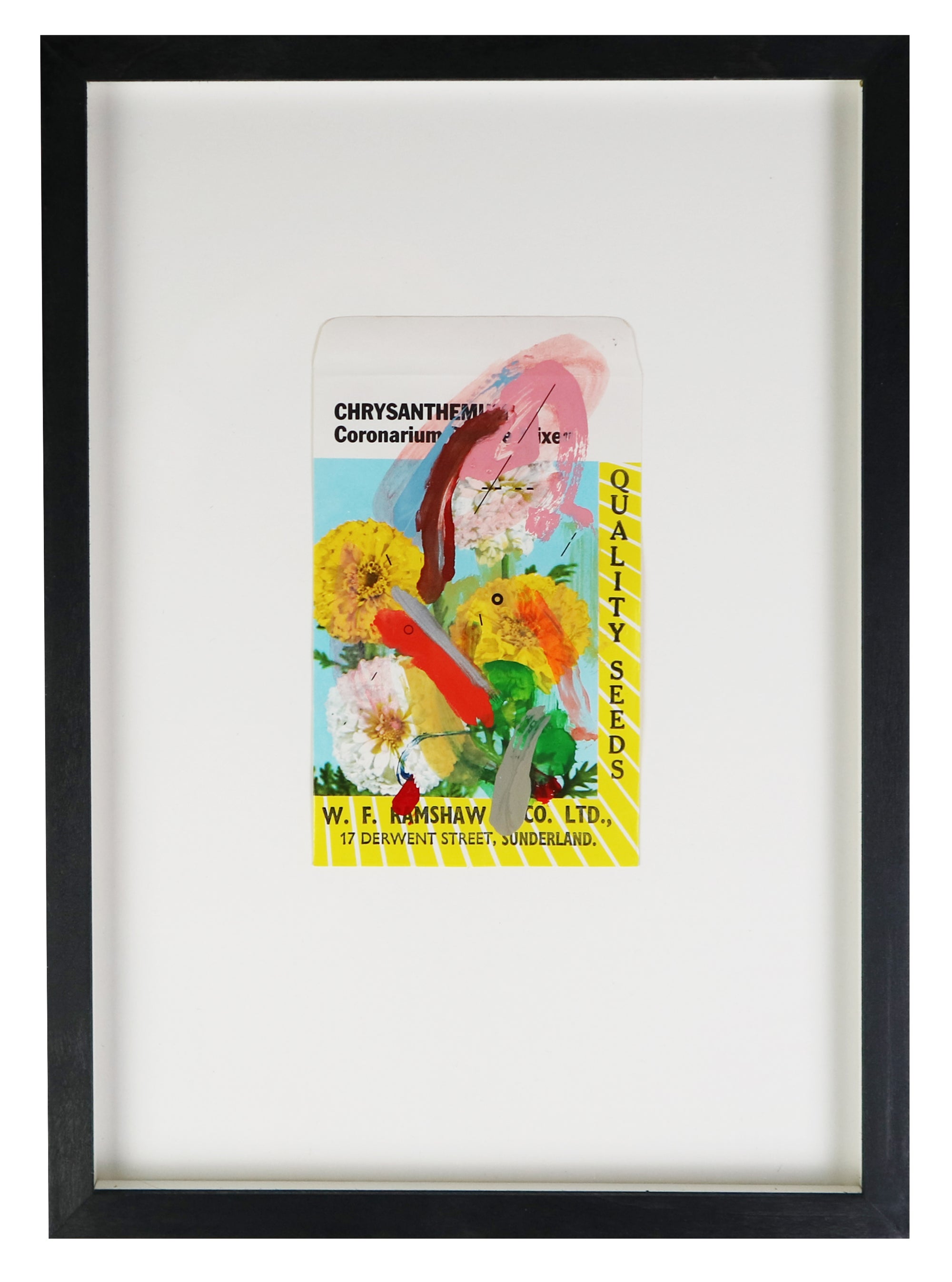 Adam Bridgland - Bloom I - Flower Packet Collage - Chrysanthemum (Framed)
