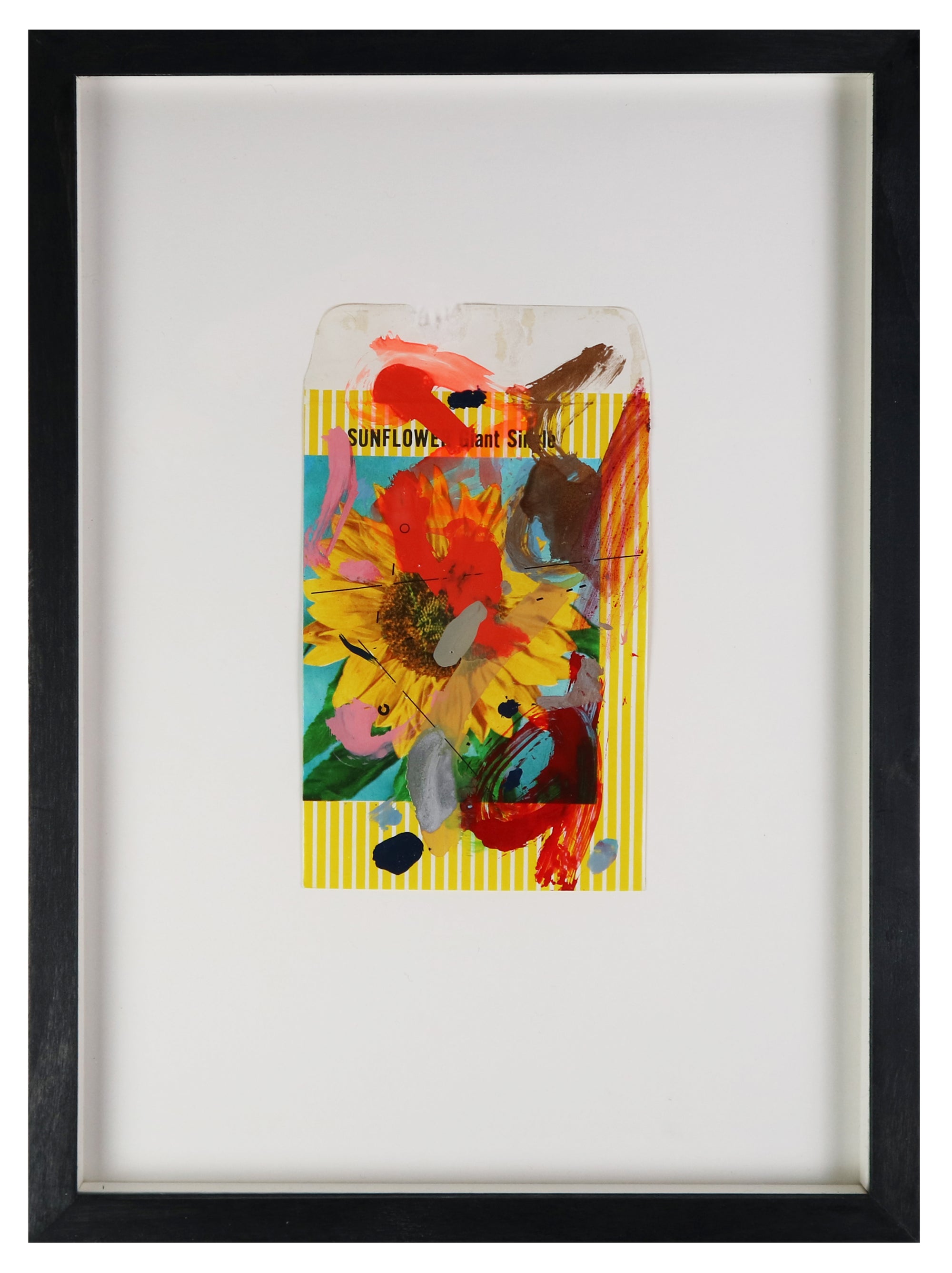 Adam Bridgland - Bloom II - Flower Packet Collage - Sunflower (Framed)