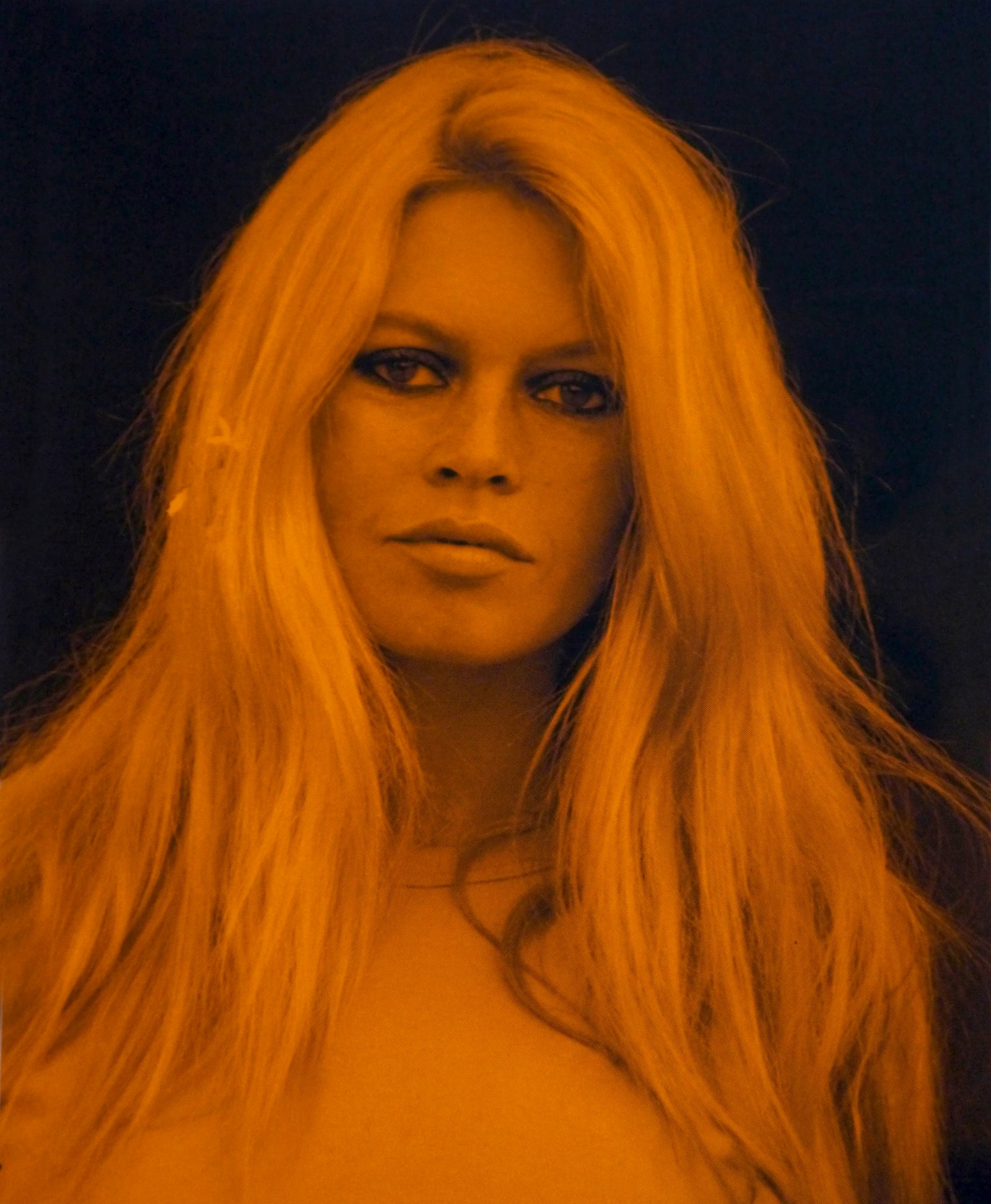 David Studwell - Brigitte Bardot-Orange