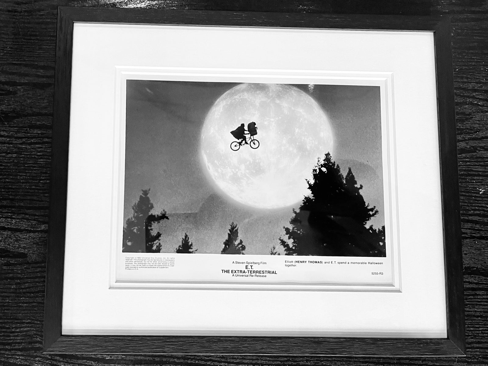 E.T. The Extra Terrestrial