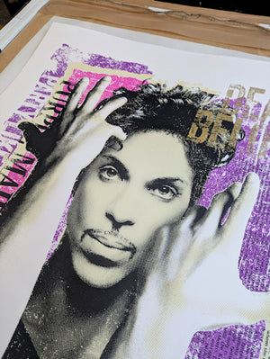 Barry D Bulsara - Prince