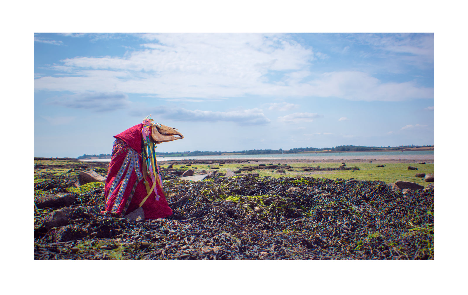 Wyldheart & Wright - Mare-E Mare and the Suffolk Coastline