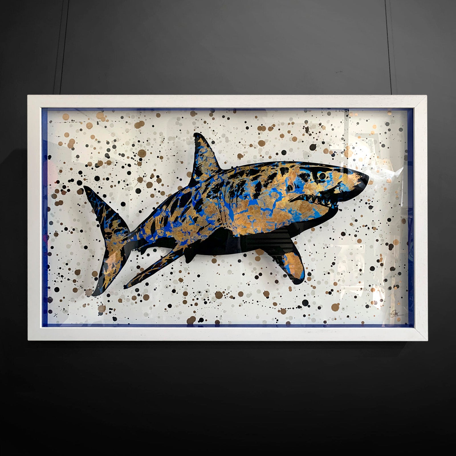 Mark Petty - Beautiful & Misunderstood