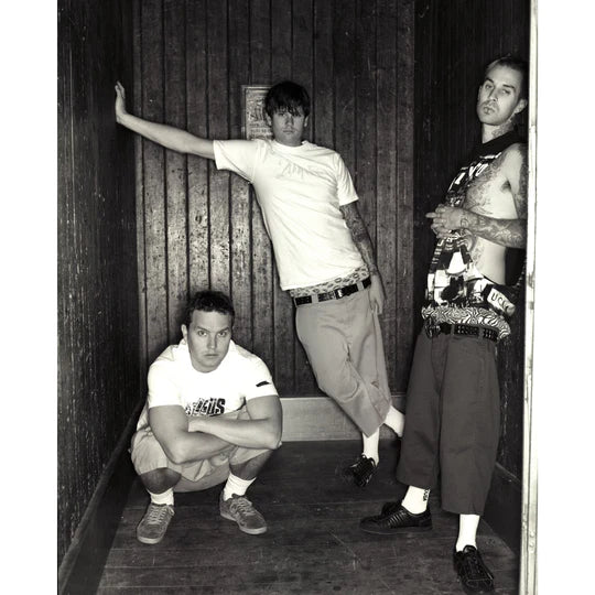 Scarlet Page - Blink 182 - Elevator