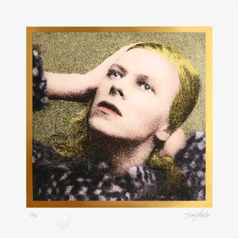 Terry Pastor - Hunky Dory - 50th Anniversary