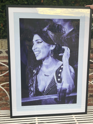 Amy X Scarlet - Violet