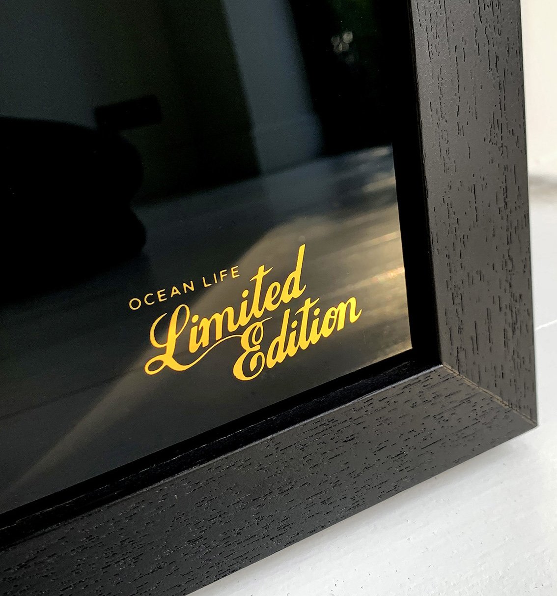 Mark Petty - The Antidote