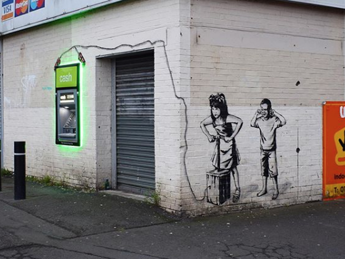 The Rebel Bear - TNT