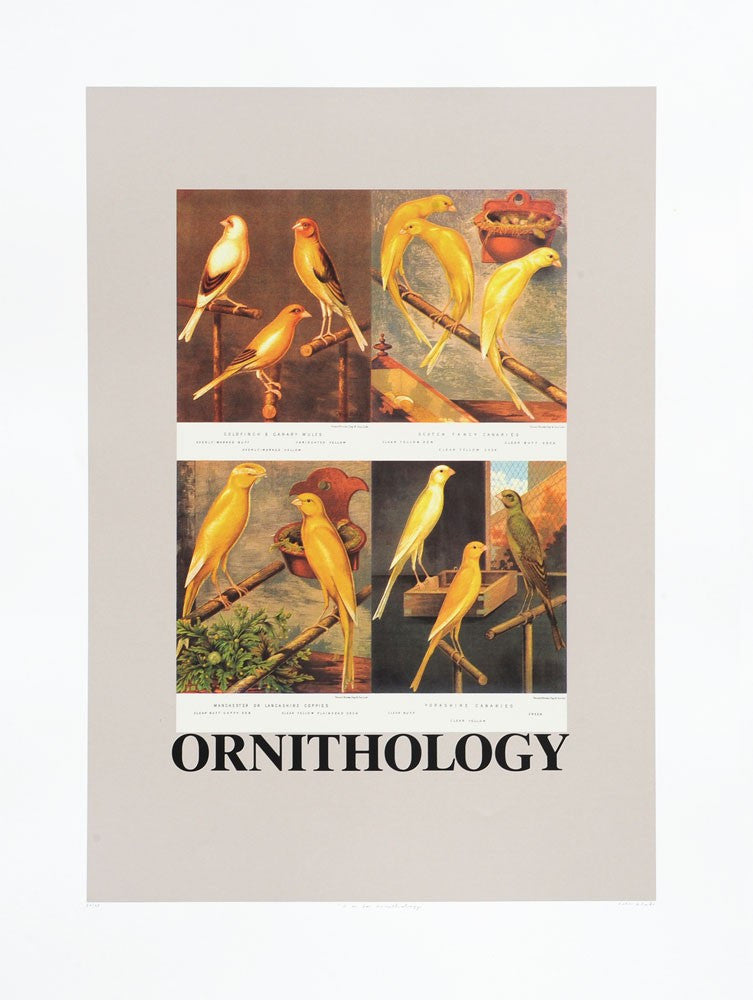 Peter Blake - O is for Ornithology (Framed)