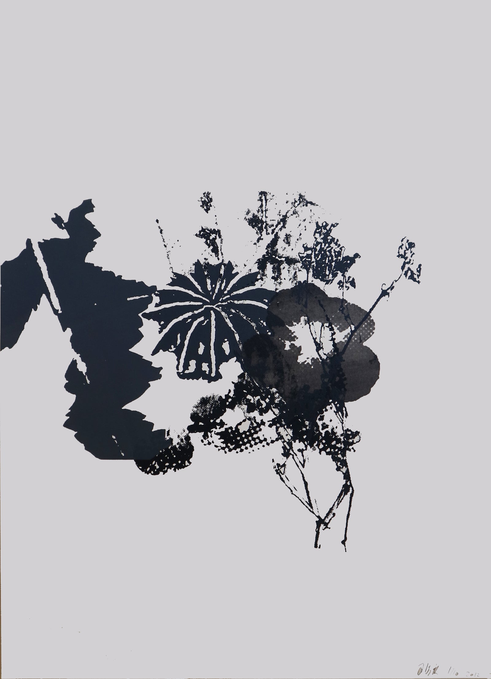 Jane Higginbottom - 7 Month Allotment (Black and White)