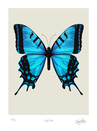 Terry Pastor - Big Blue