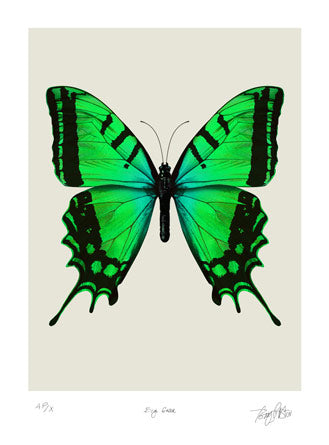 Terry Pastor - Big Green