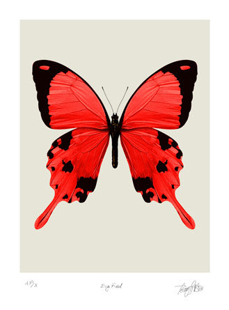 Terry Pastor - Big Red