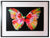 Damien Hirst - Butterfly (Spin Painting) (Framed)