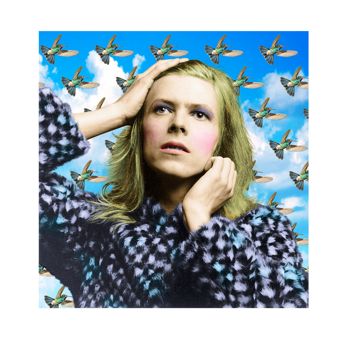 Terry Pastor - David Bowie - Hummingbirds