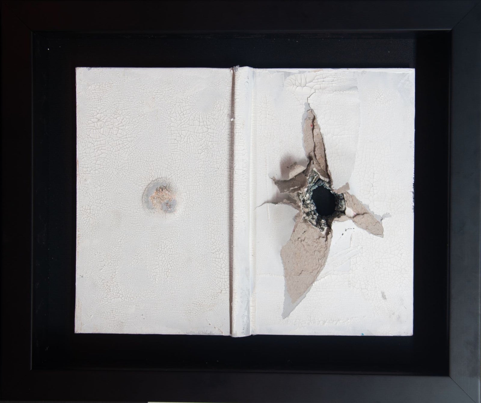 Lauren Baker - Immensity Of The Universe (Dove From The Ashes) (Framed)