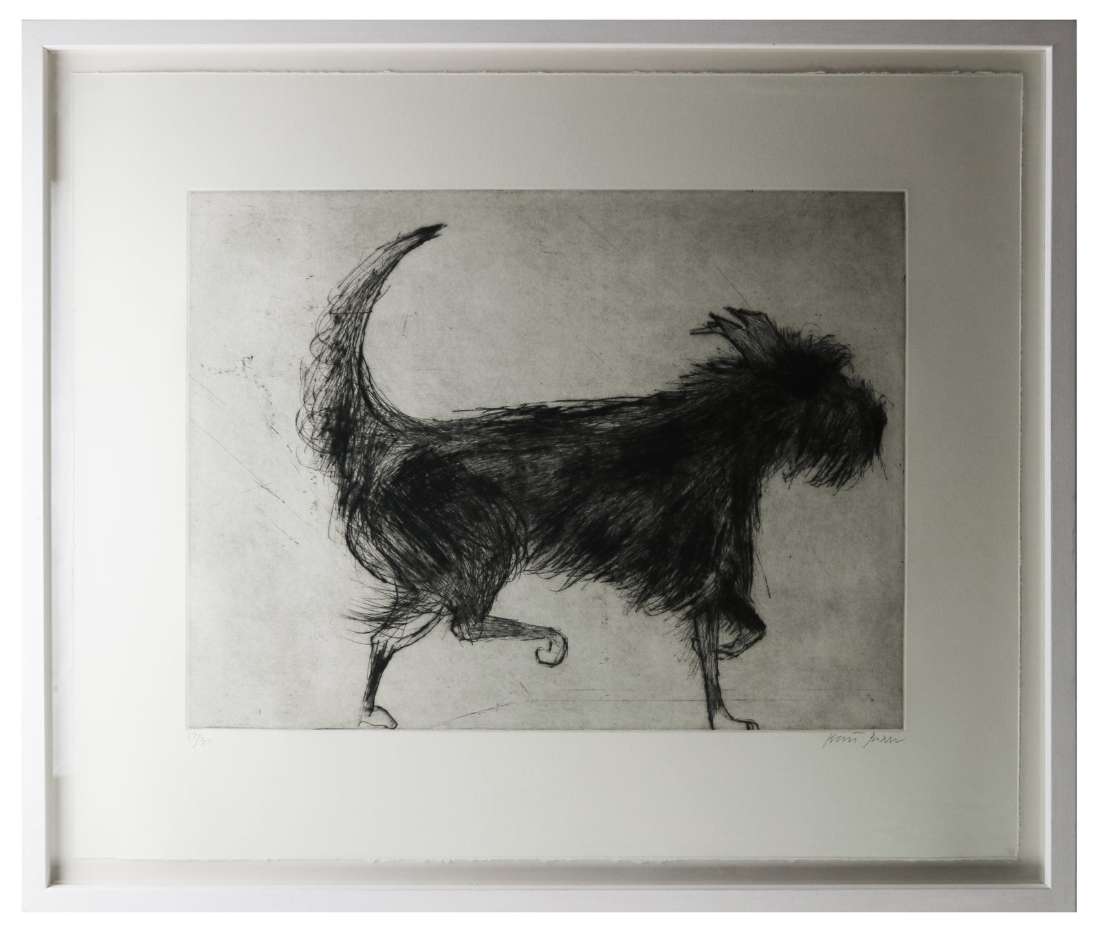 Kate Boxer - Fig (dog)