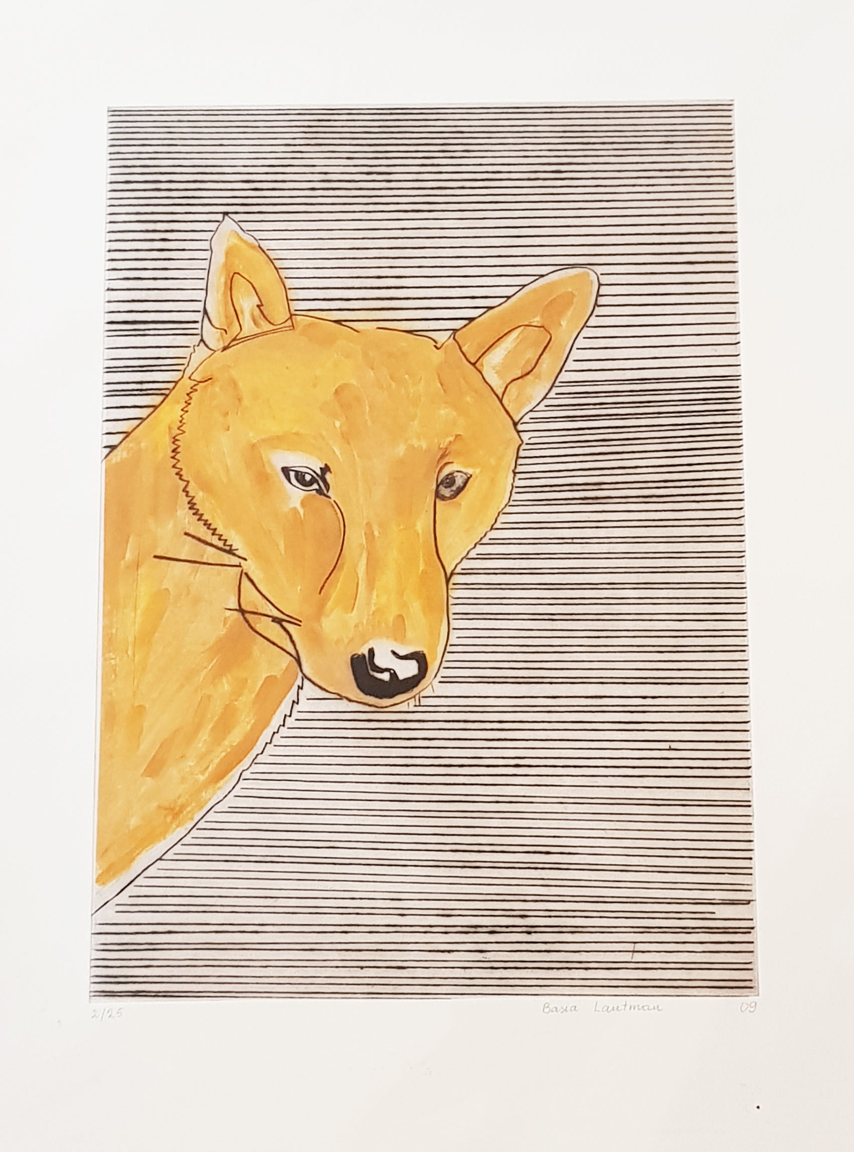 Basia Lautman - Foxy Dog