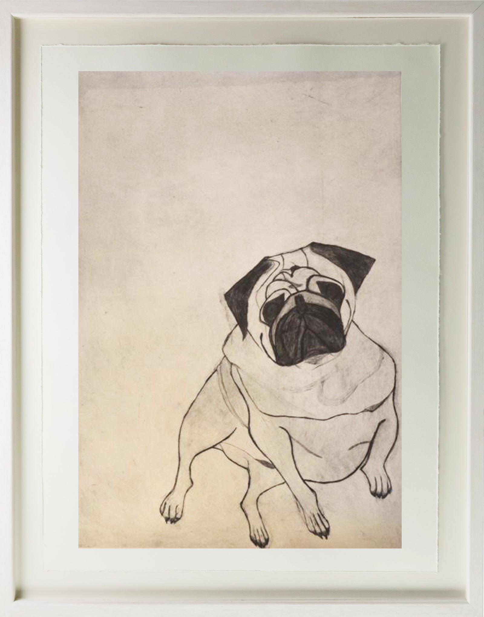 Kate Boxer - Fred (Pug Dog)