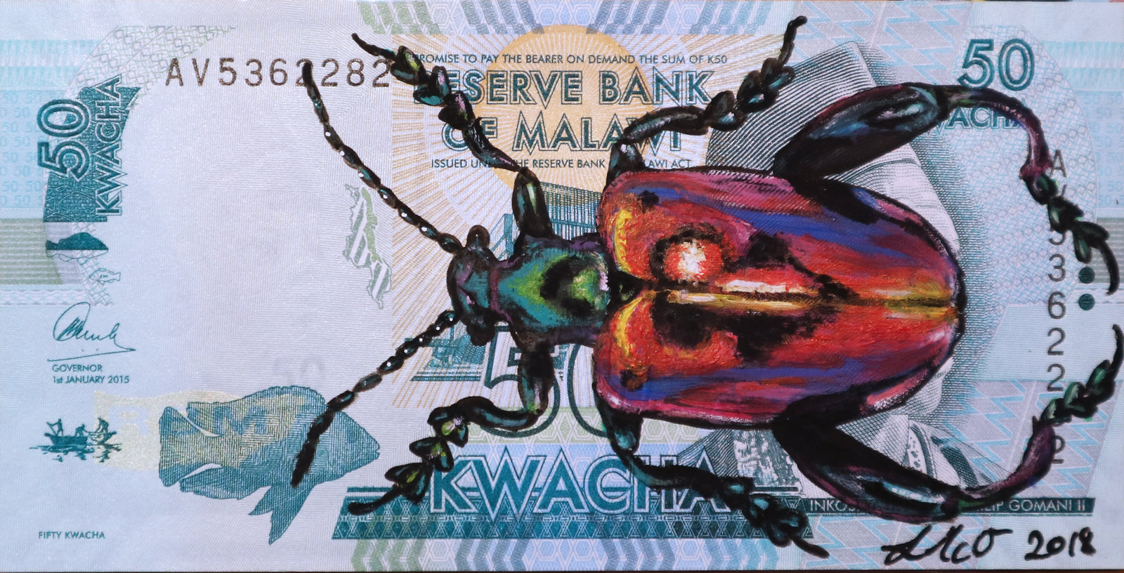 Louise McNaught - Frog-Legged Leaf Beetle on Malawian Kwacha