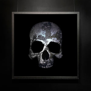 Mark Petty - The Architect of Extinction 2 - Silver Skull