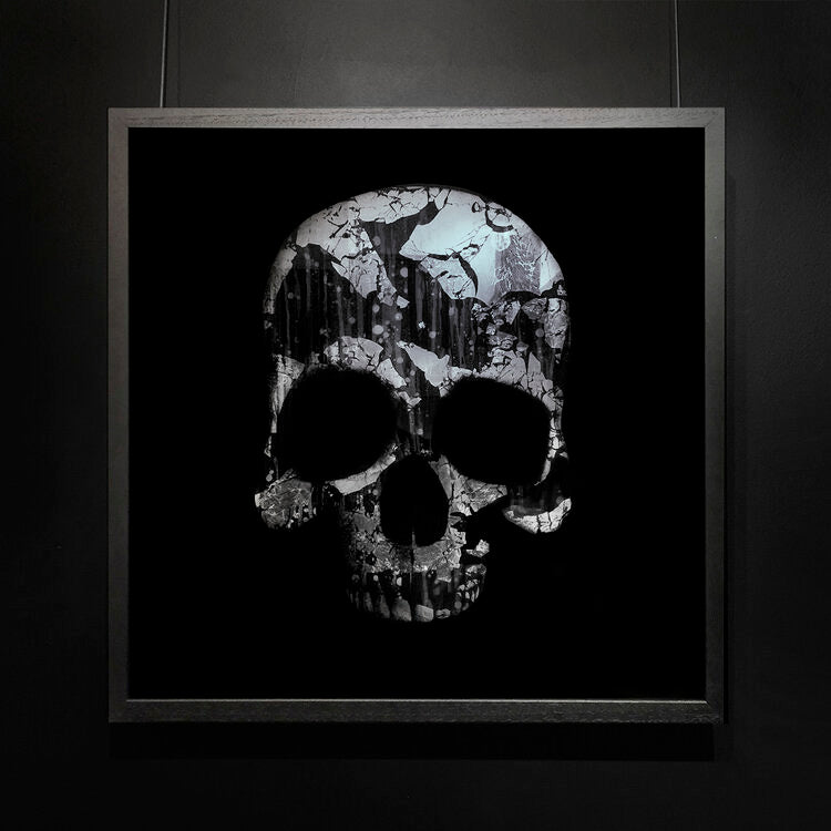 Mark Petty - The Architect of Extinction 1 - Silver Skull