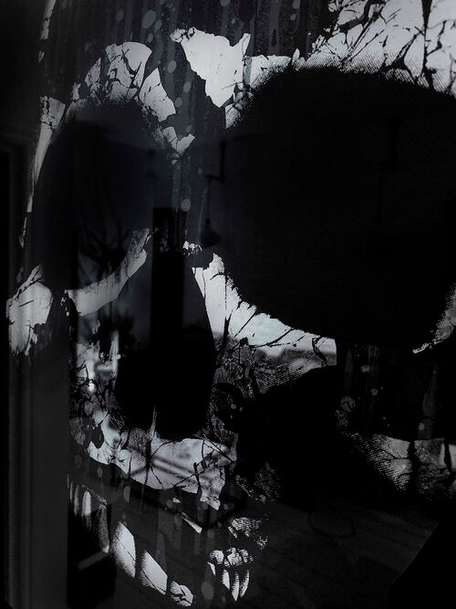 Mark Petty - The Architect of Extinction 1 - Silver Skull