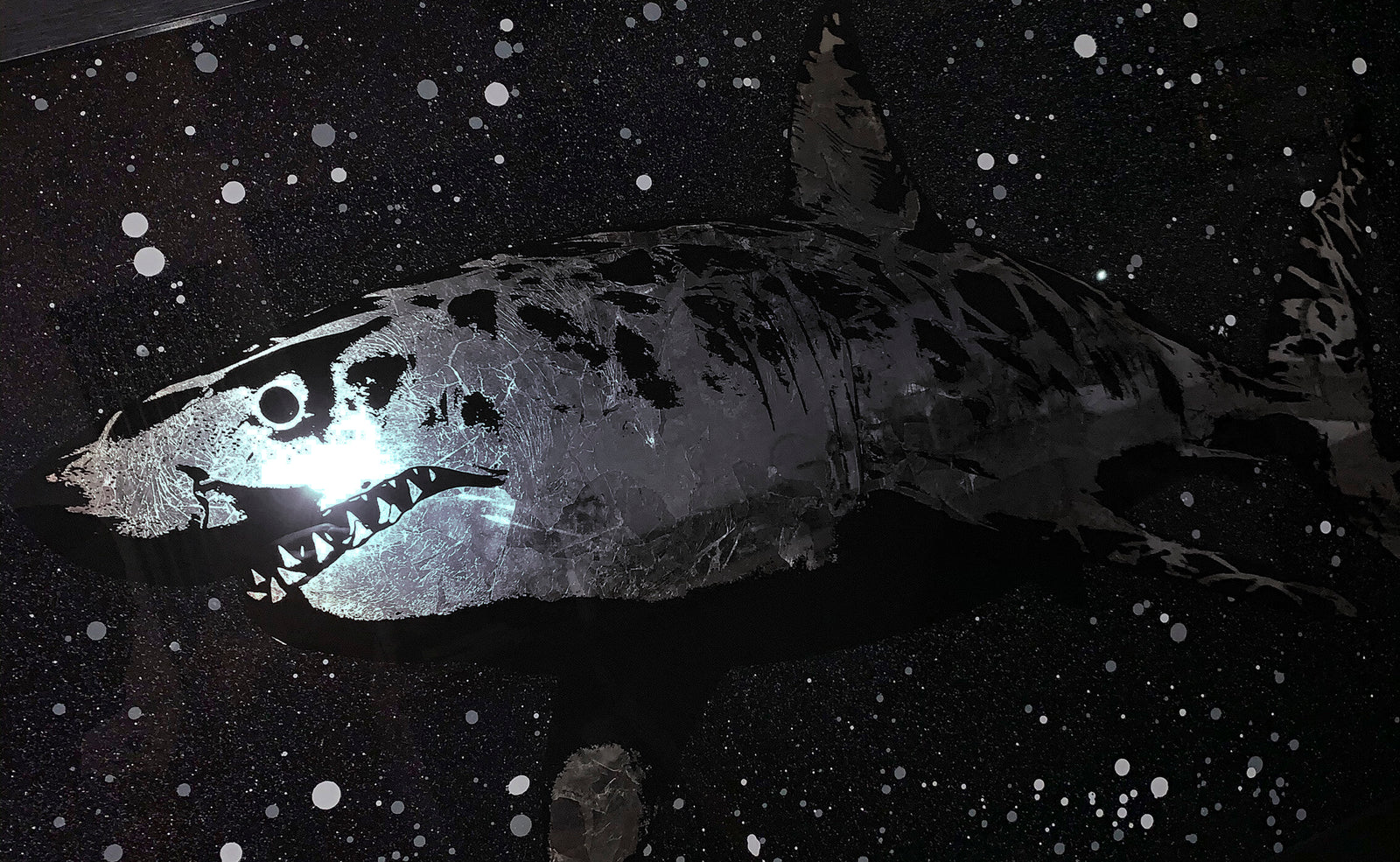 Mark Petty - Beautiful & Misunderstood - Silver Shark