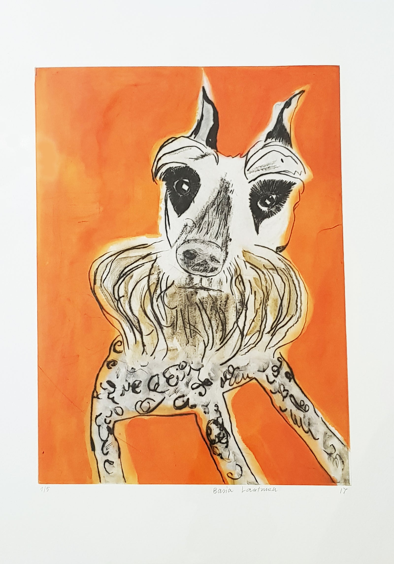 Basia Lautman - Schnauzer