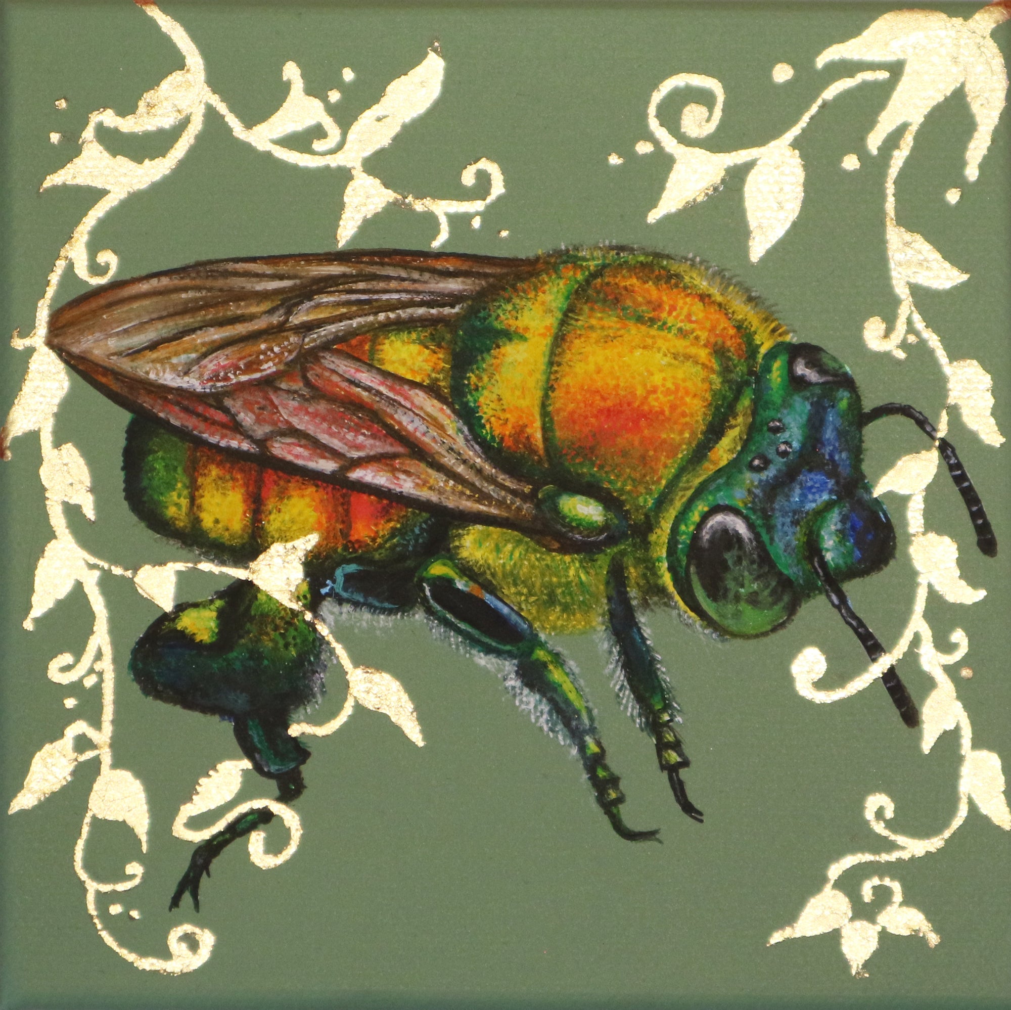 Louise McNaught - O Is For Orchid Bee