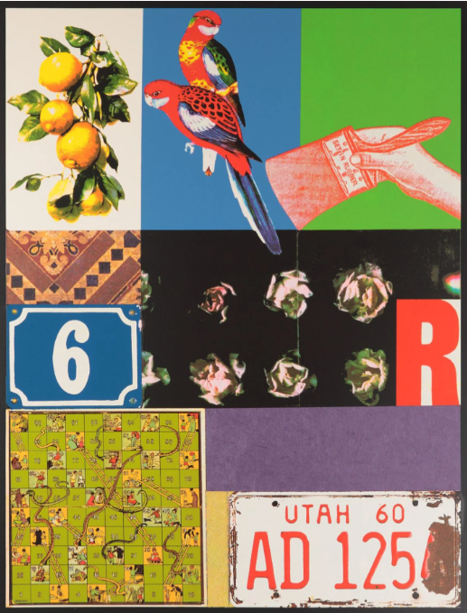 Peter Blake - Homage to Rauschenberg V