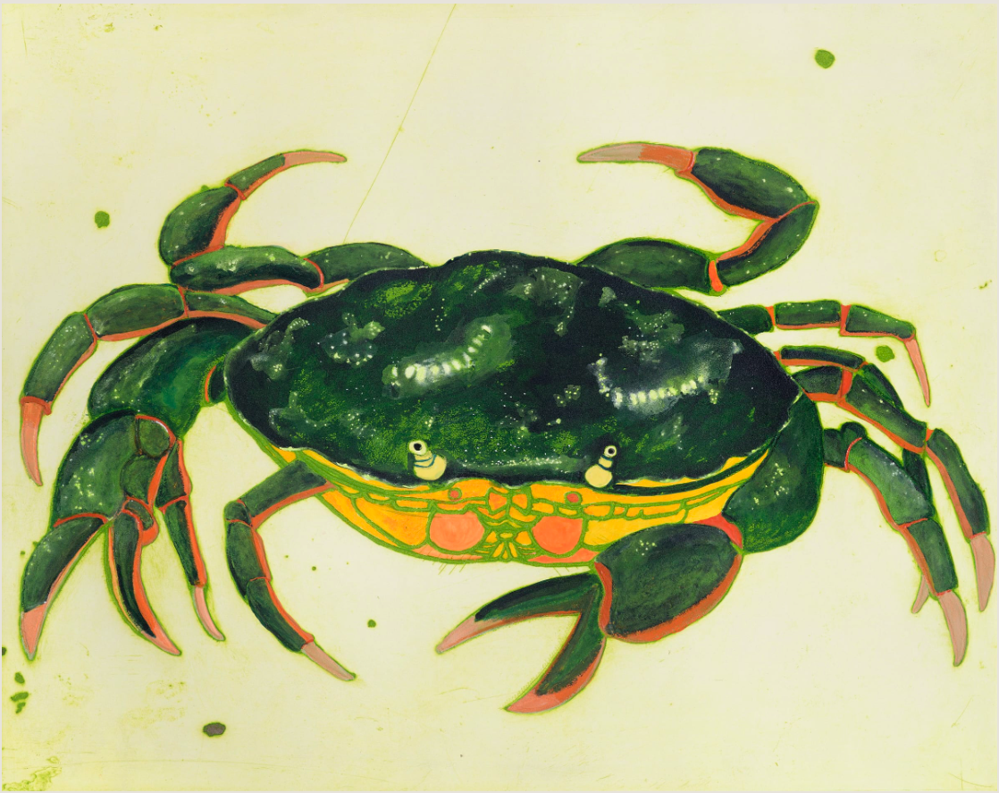 Kate Boxer - Crab