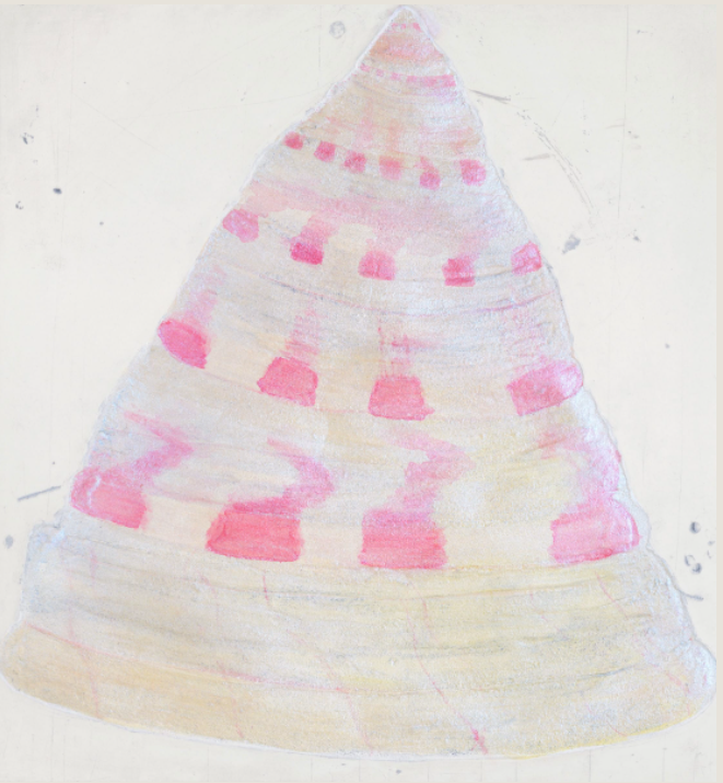 Kate Boxer - Topshell