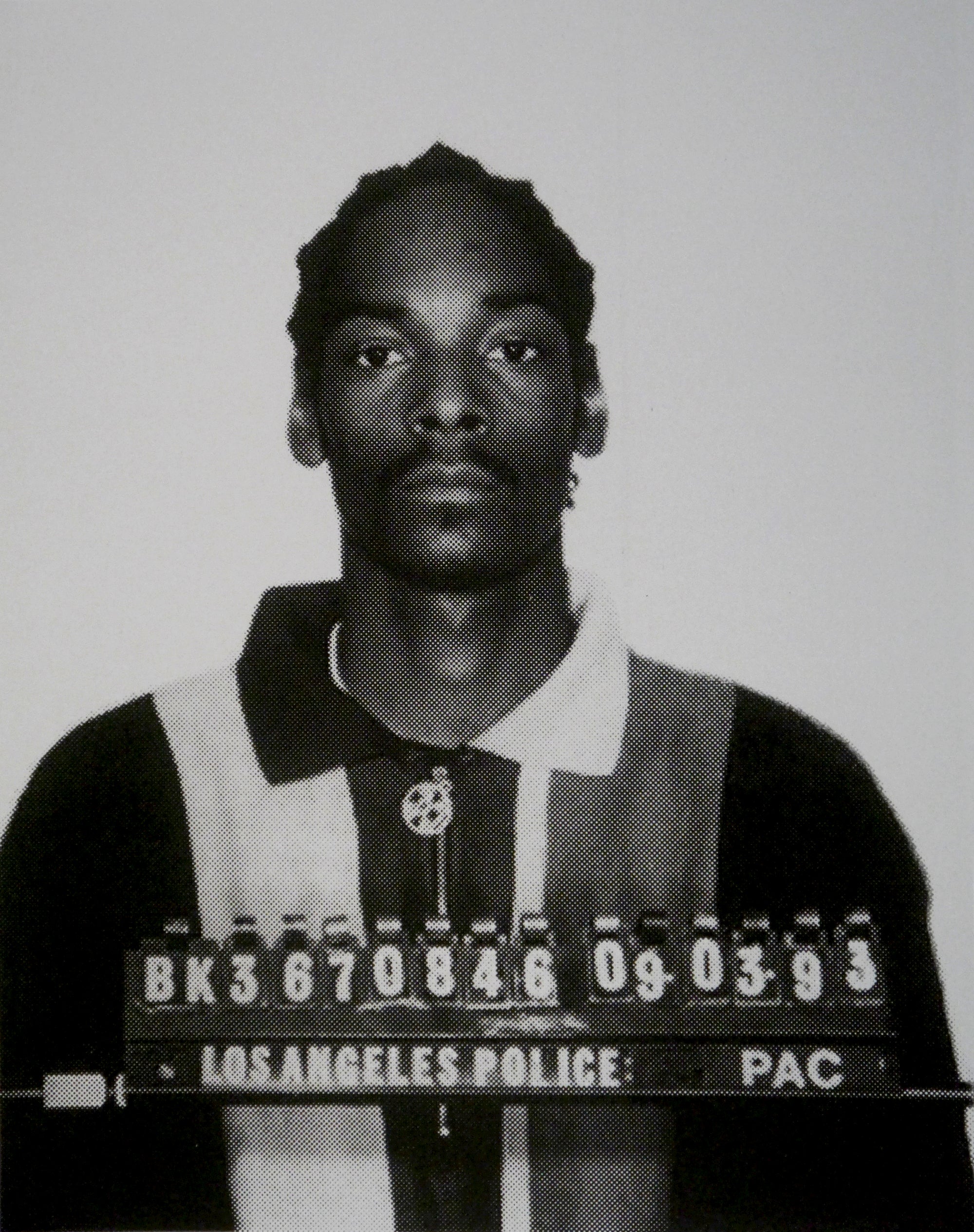 David Studwell - Snoop Dog III (Black On Silver)