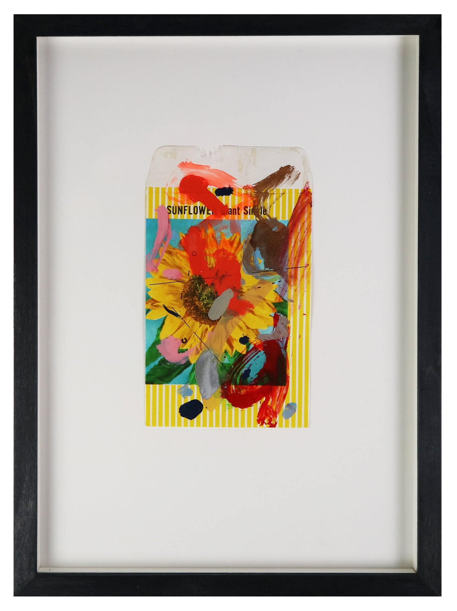 Adam Bridgland - Bloom II - Flower Packet Collage - Sunflower (Framed)