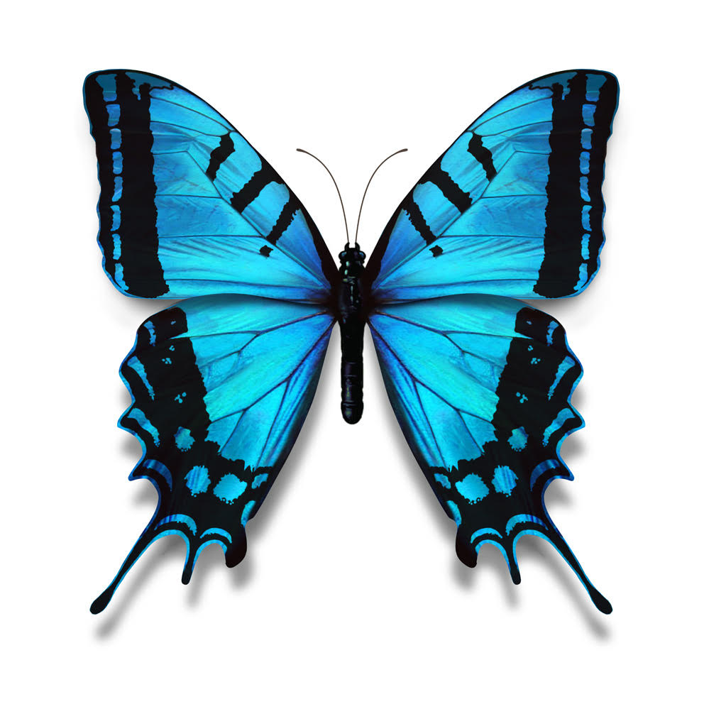 Terry Pastor - Big Blue (Large)