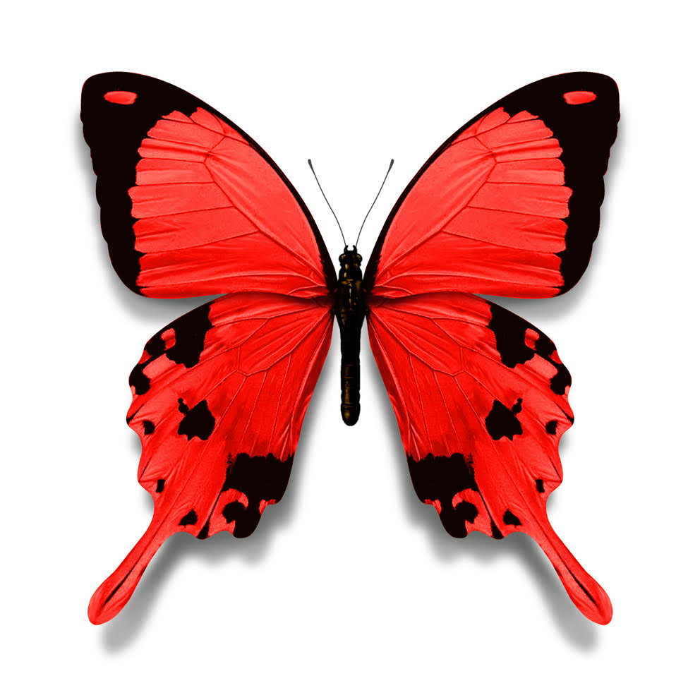 Terry Pastor - Big Red (Large)