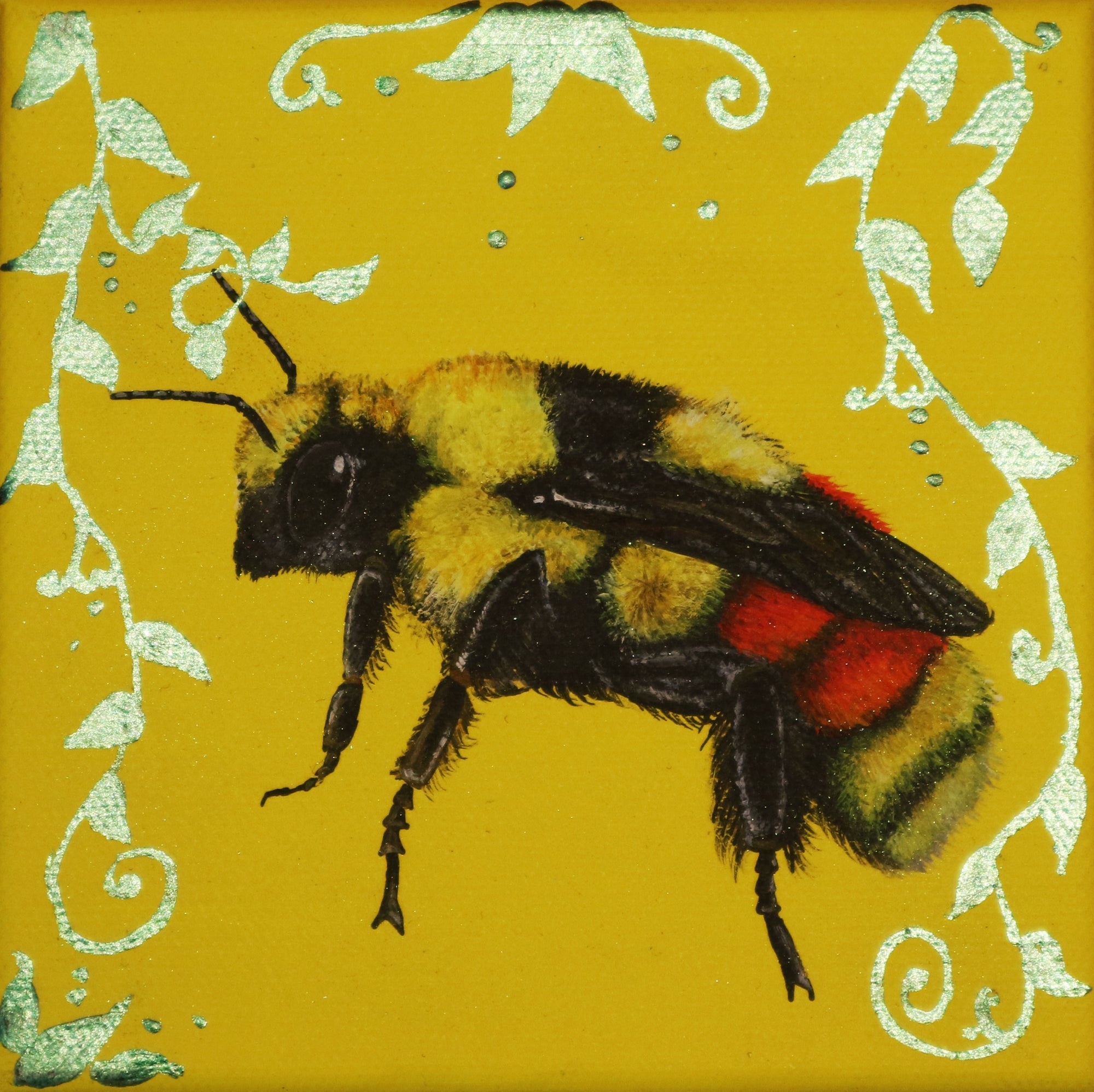Louise McNaught - Tri-Coloured Bumble Bee