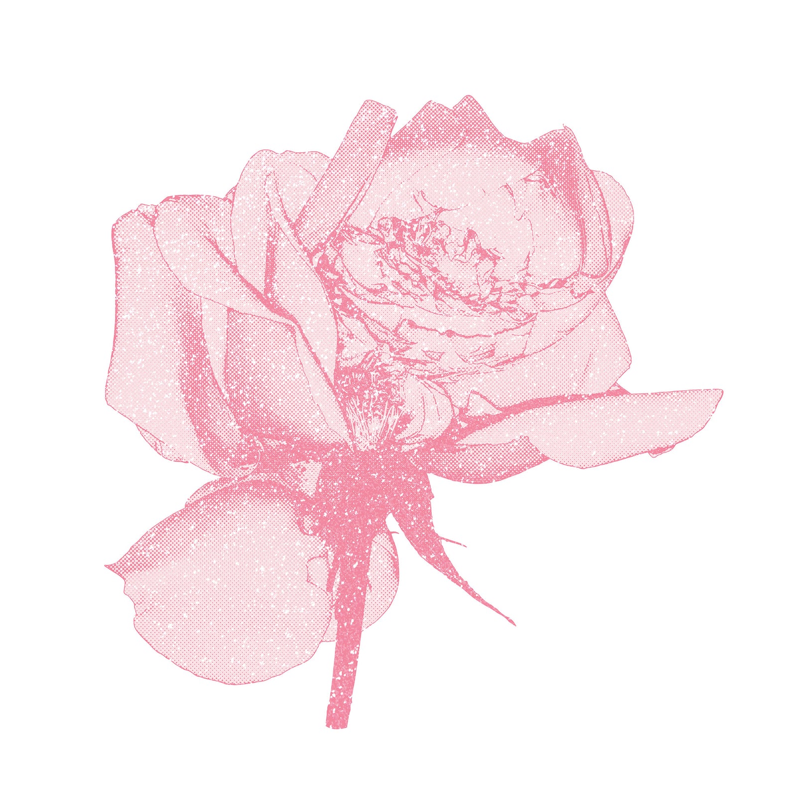 Simon Freeborough - UNREQUITED - PINK - DIAMOND DUST