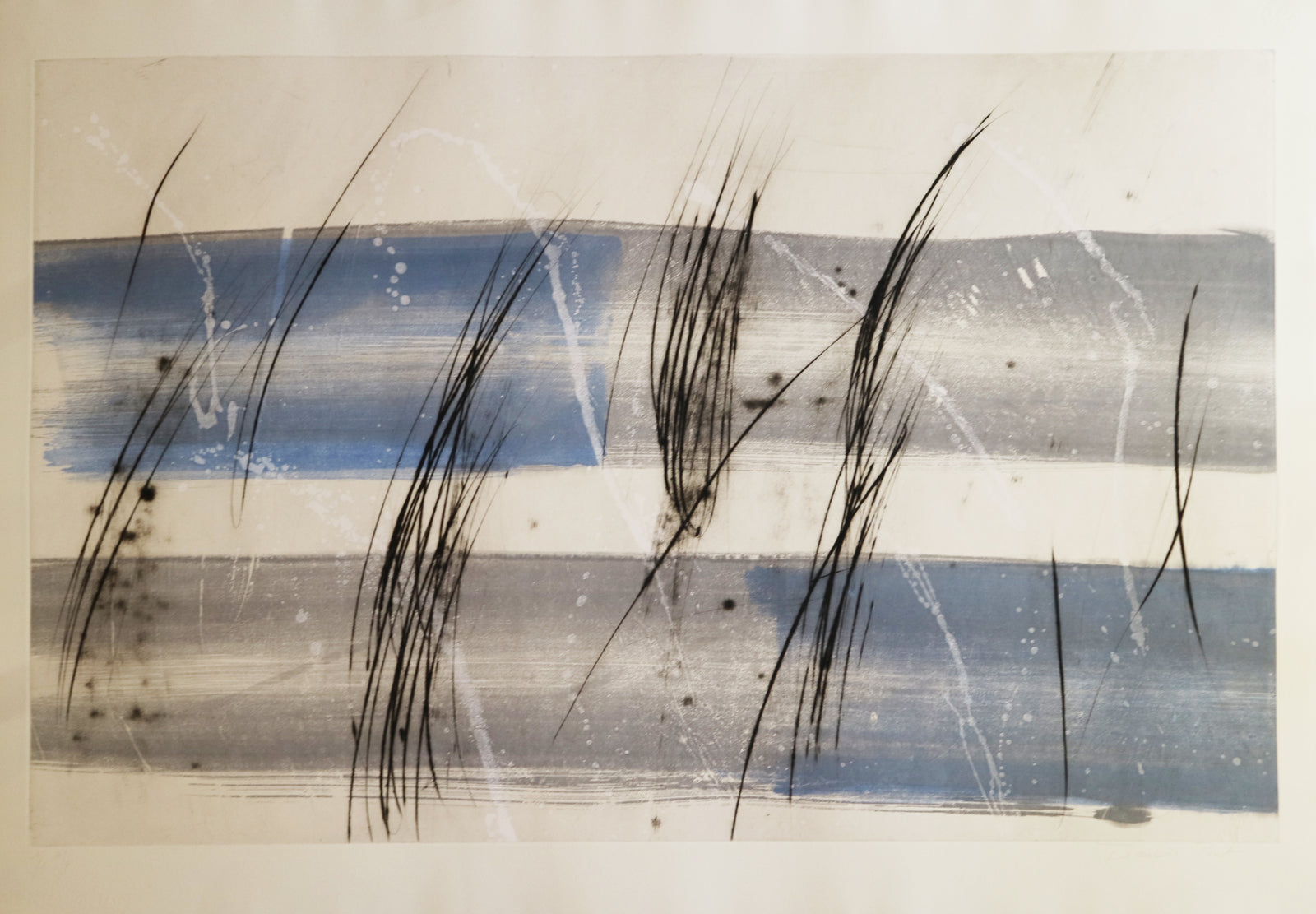 François Pont - Delie