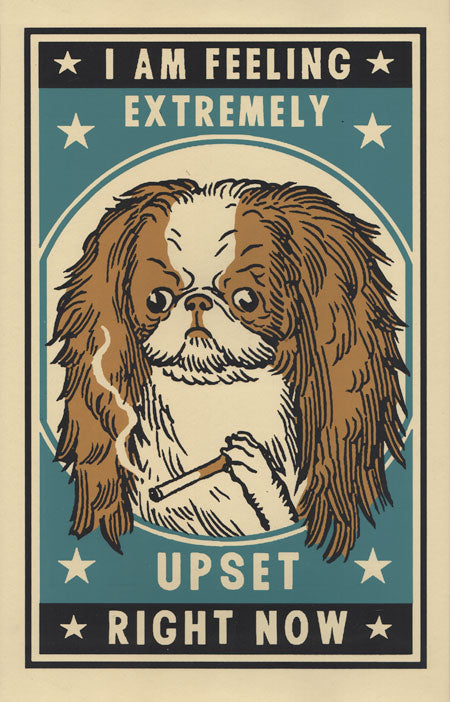 Arna Miller / Ravi Zupa - Upset