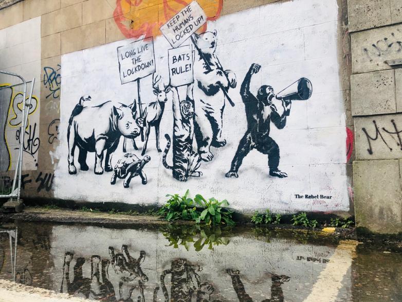 The Rebel Bear - The Protest