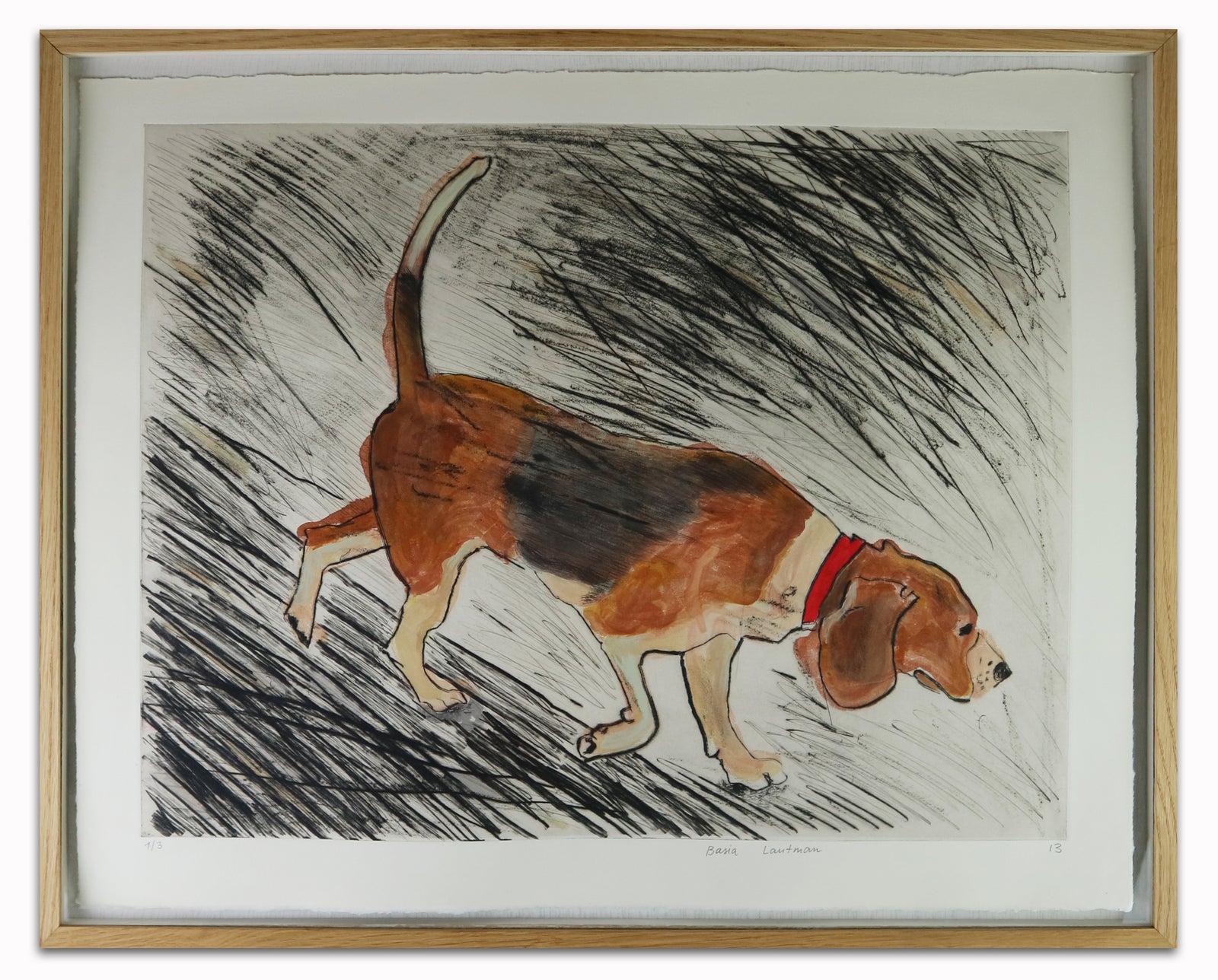 Basia Lautman - Beagle (Framed)