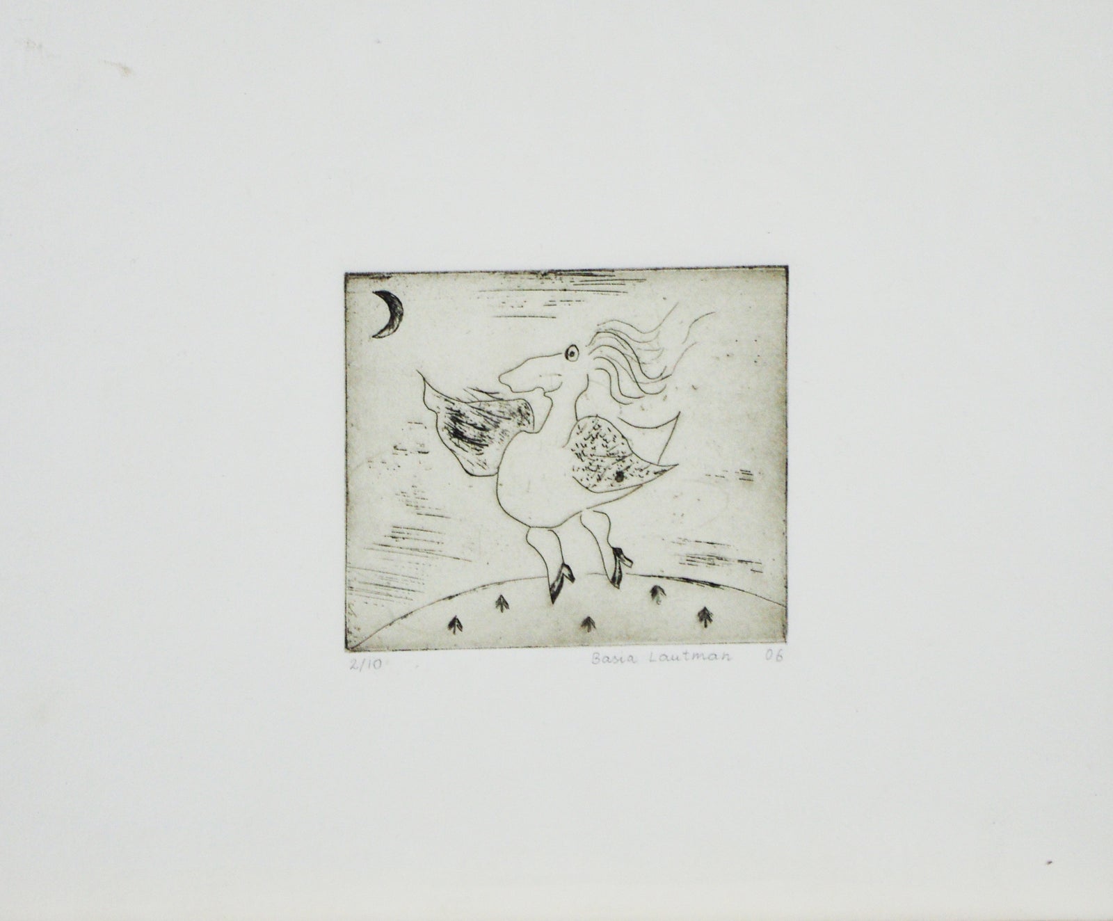 Basia Lautman - Flying Duck