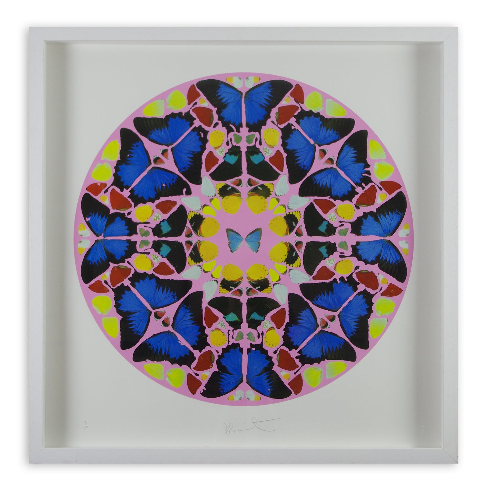 Damien Hirst - Psalm: Coeli Enarrant (Framed)