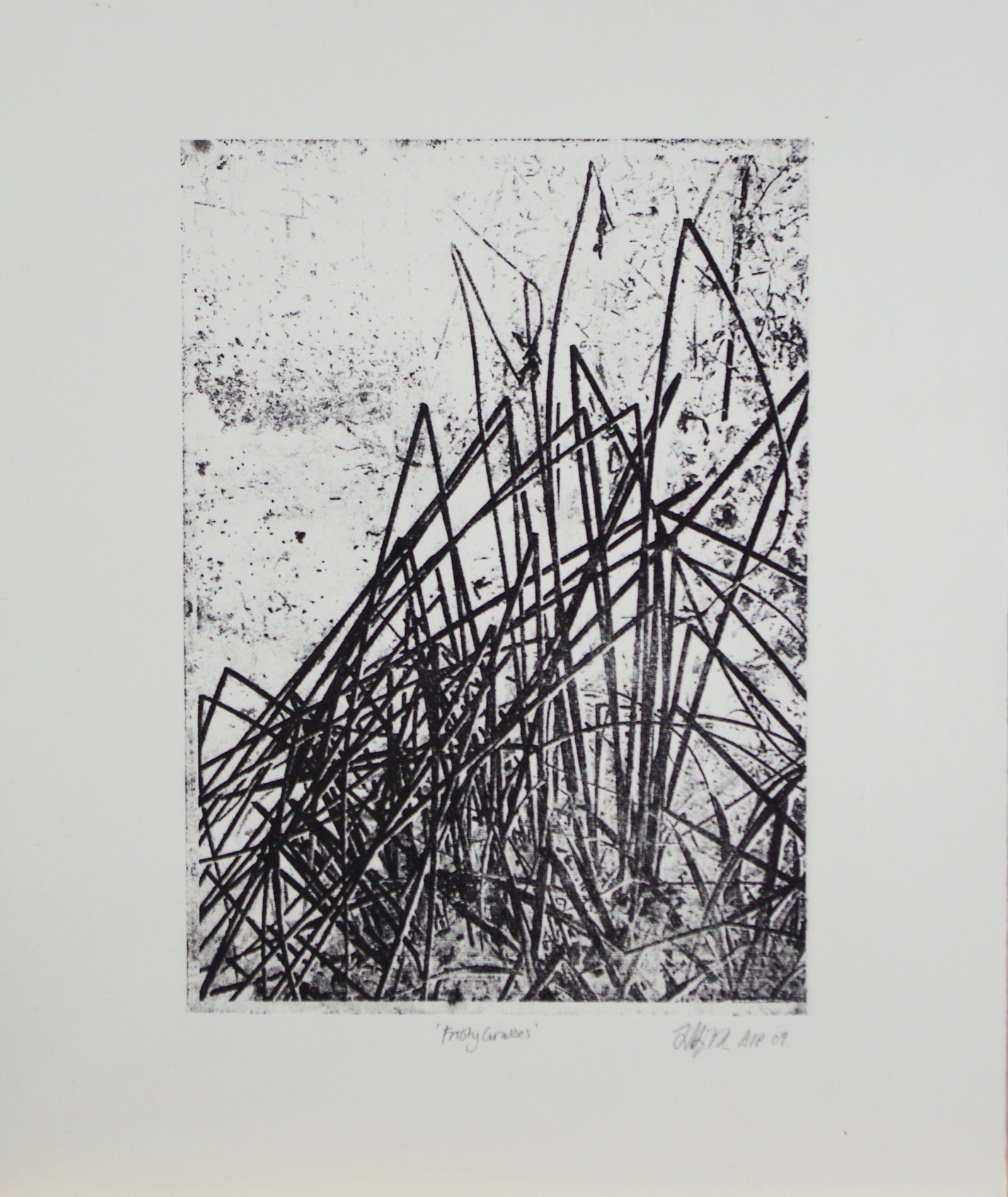Jane Higginbottom - Frosty Grasses