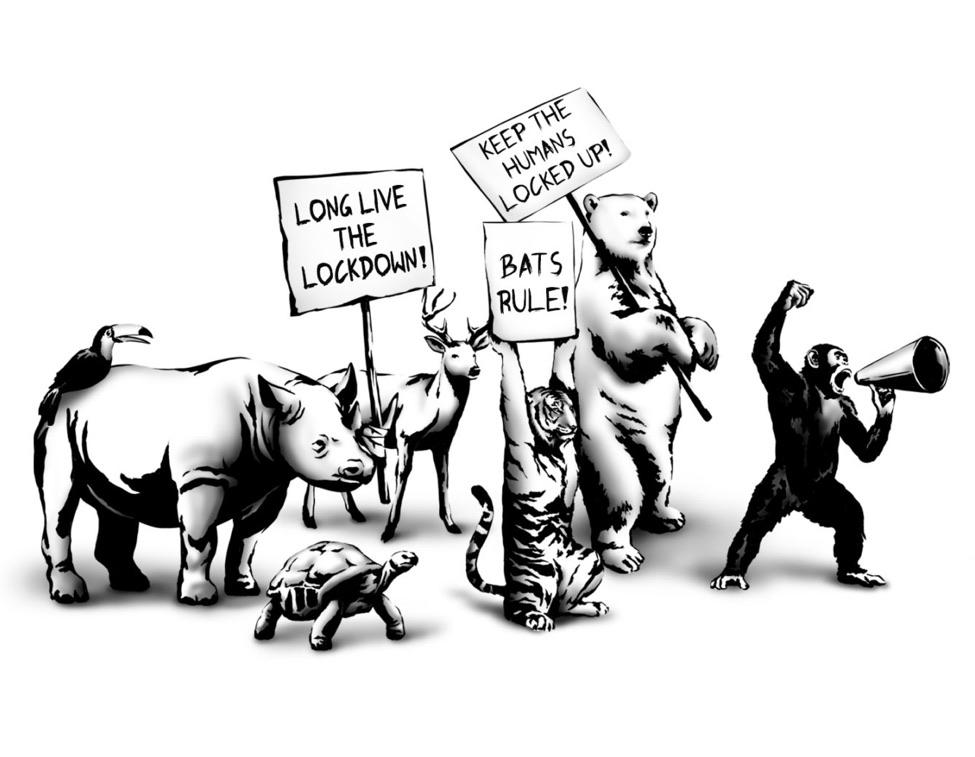 The Rebel Bear - The Protest (Canvas)