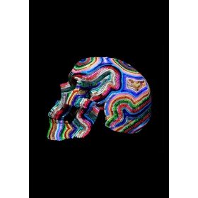 Lauren Baker - Lucid Visions (Sequin Skull)