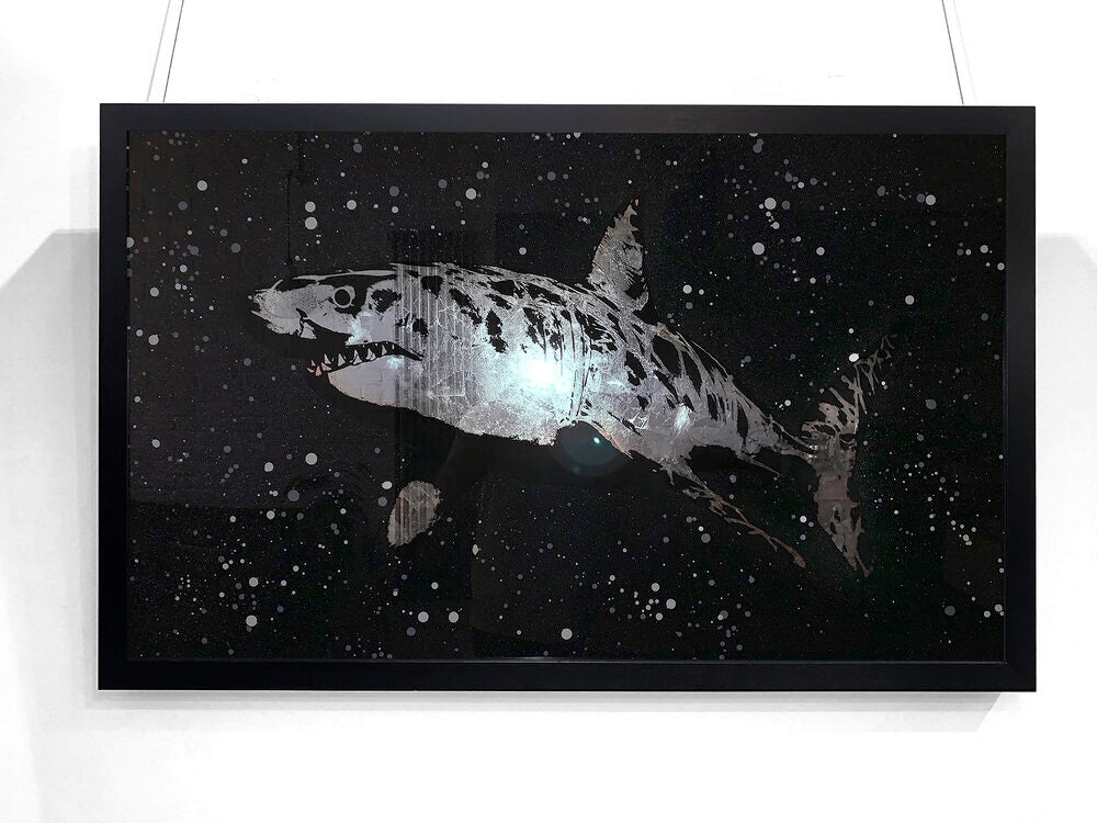 Mark Petty - Beautiful & Misunderstood - Silver Shark