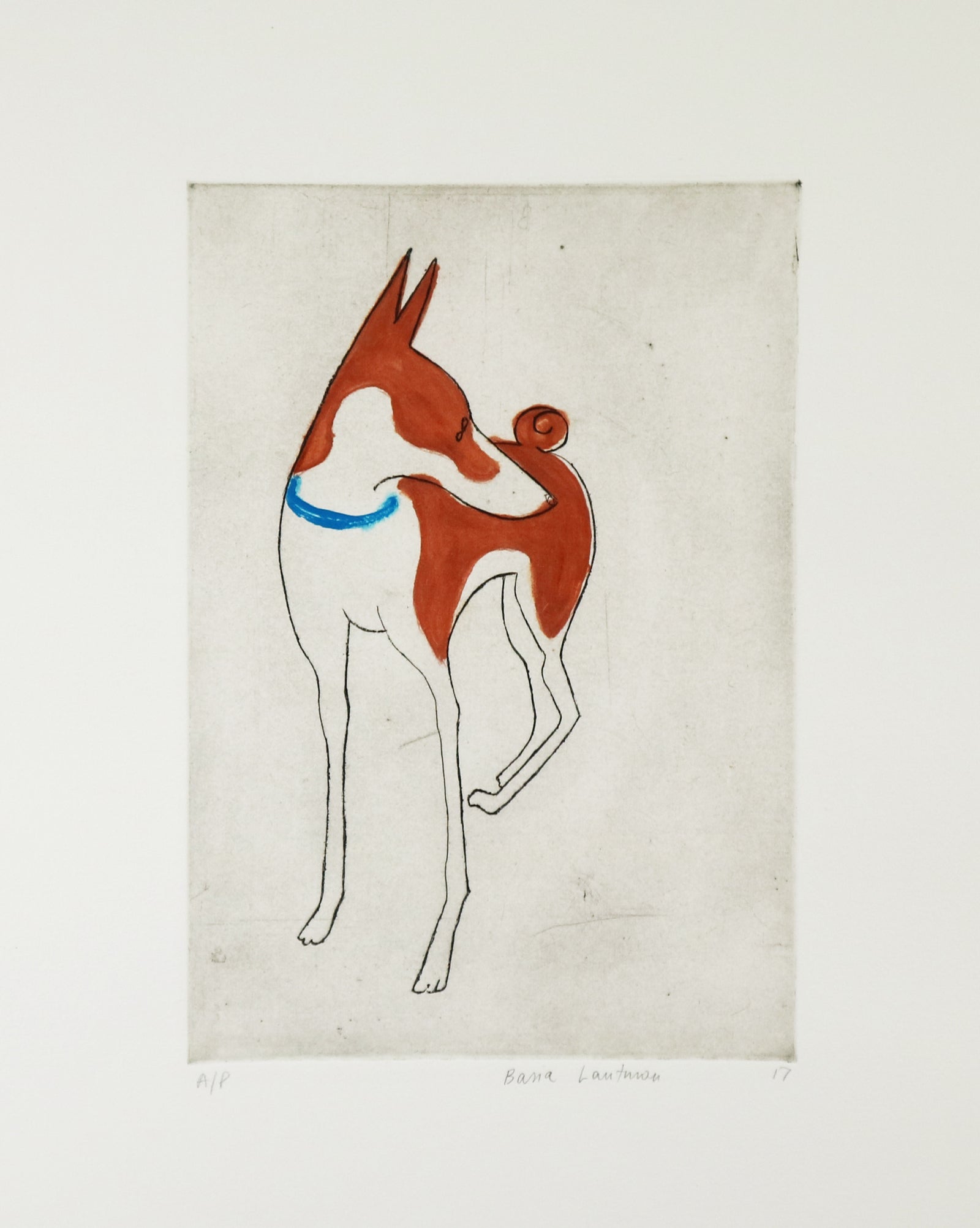 Basia Lautman - Nubia